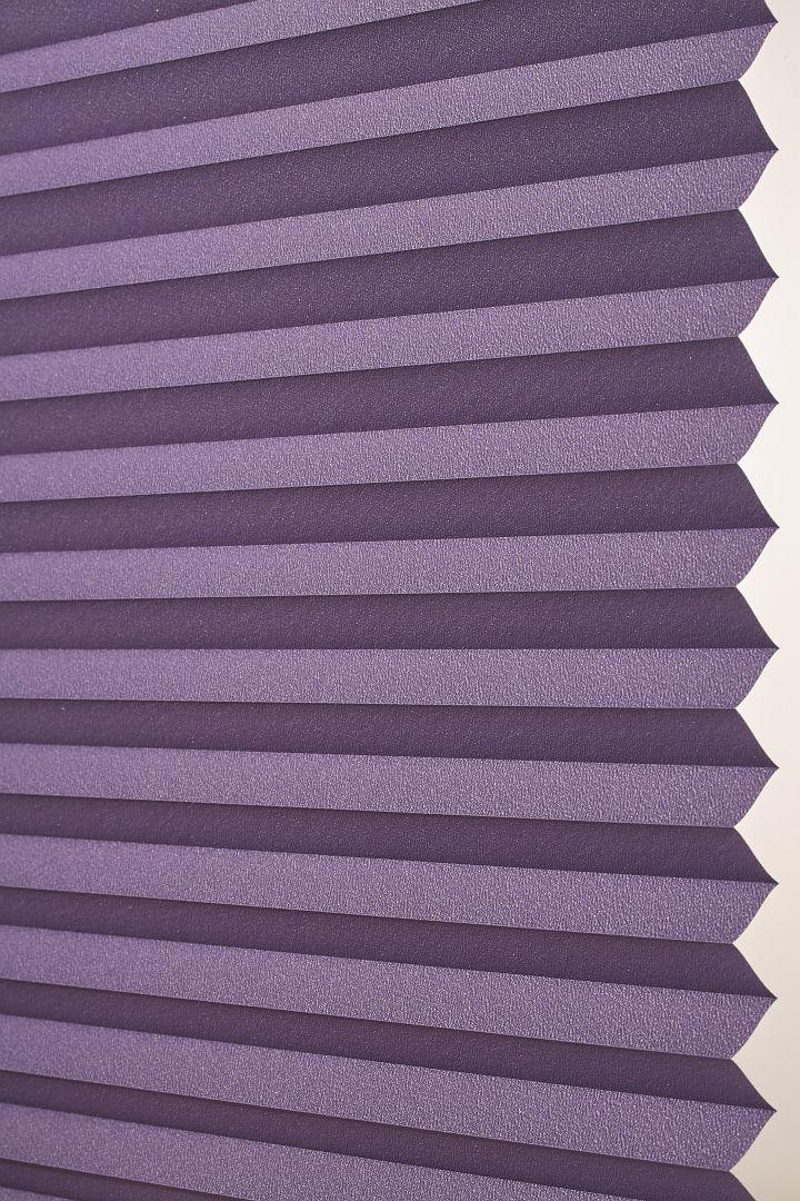Violet purple FR 116 PVIO-F 116